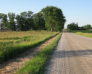 road_path.jpg